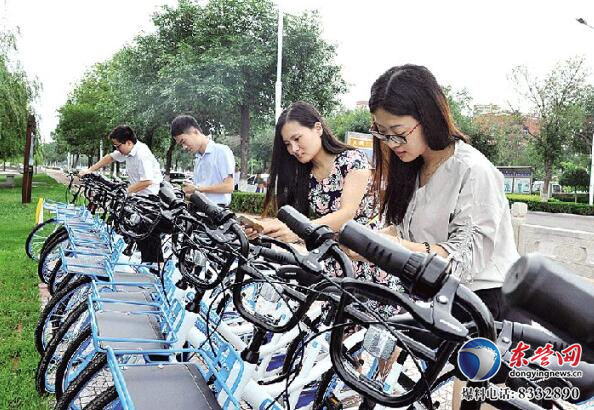 600辆共享单车亮相利津 四大区域设置22处投放点 - 东营网