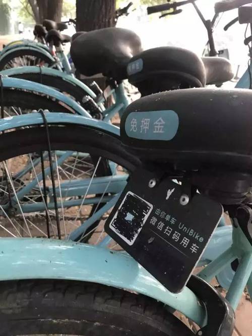 被共享单车"坟场",圆了上学梦的孩子